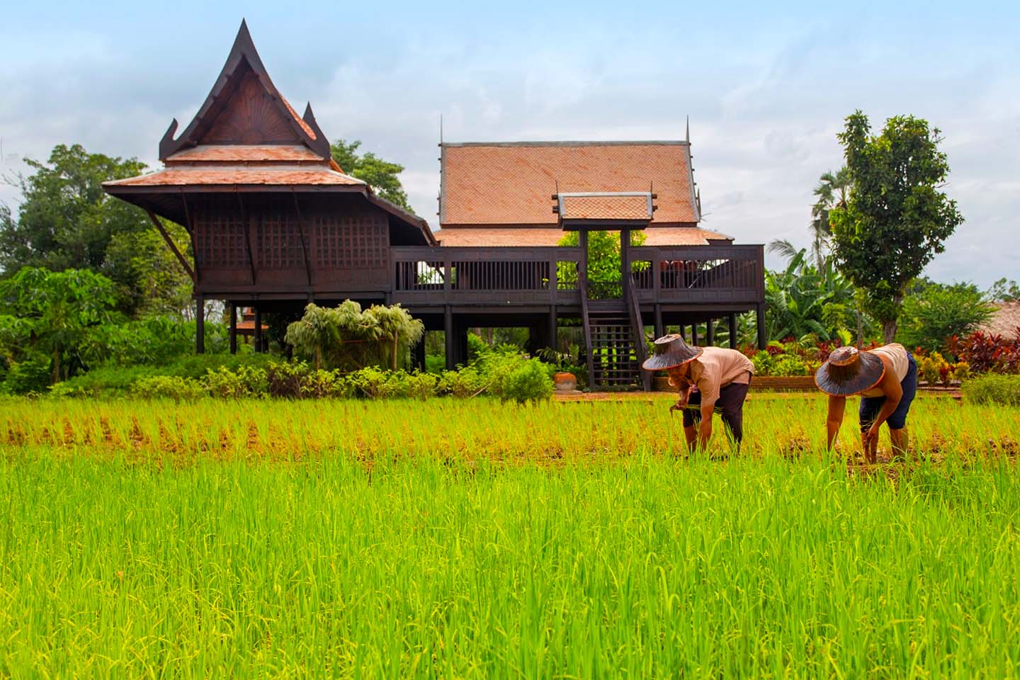 เรือนเดี่ยว 